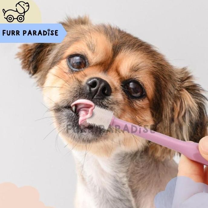 Sikat Gigi Silicone Bulat , Pembersih Karang Gigi Anjing Kucing