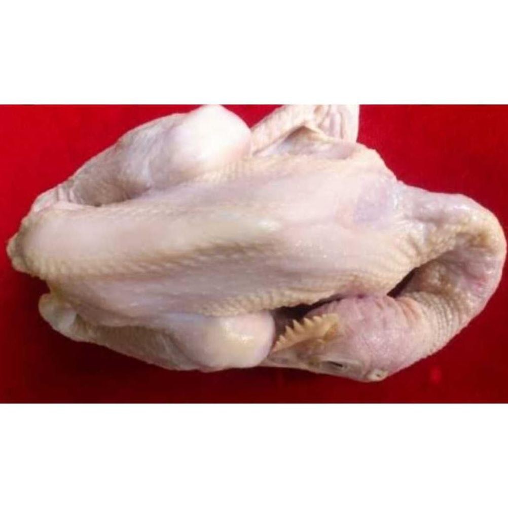 

New! Ayam Pejantan Fresh ,.