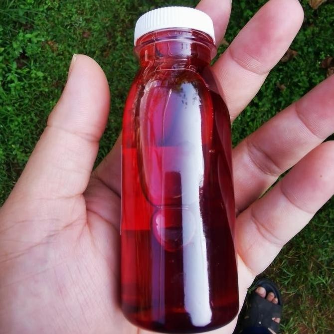 Ready Hormon Tanaman GA4+7 Giberelin 100ml Pembesar Buah dan Dorman Breaker