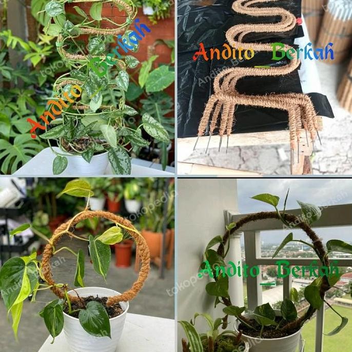 Ready Turus Bulat Dan Turus S Rambatan Tanaman