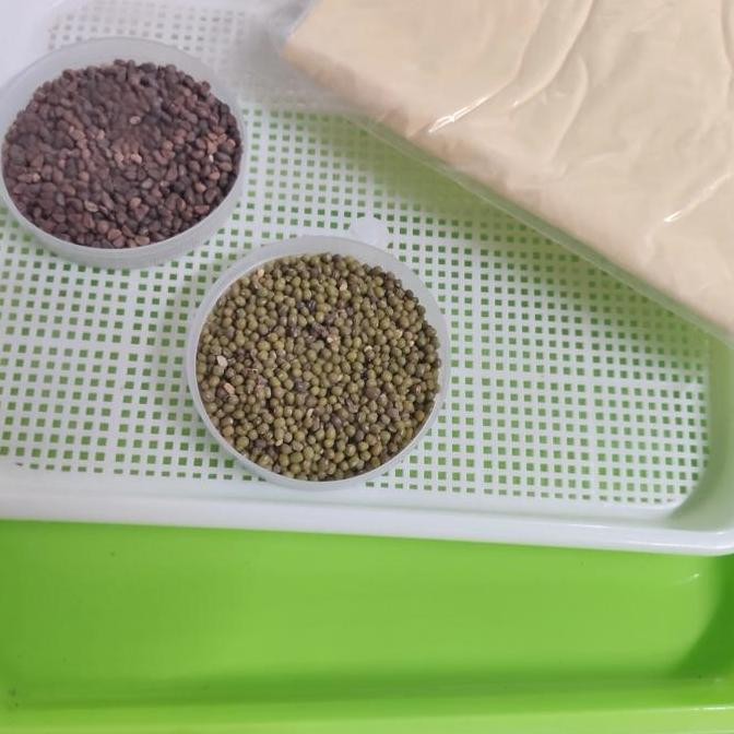 Ready Microgreens Kit Pemula Plus