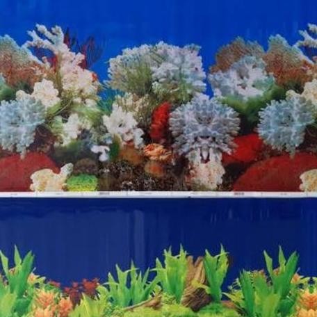 

Background Aquarium
