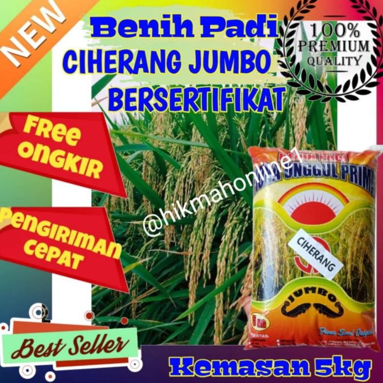 Benih padi Ciherang Jumbo Bersertifikat label ungu kemasan 5kg Nugi