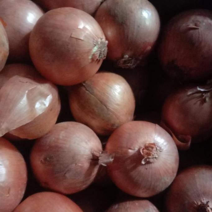 

Diskon! Bawang Bombay 5kg Ukuran Besar 60-85mm Fresh Import