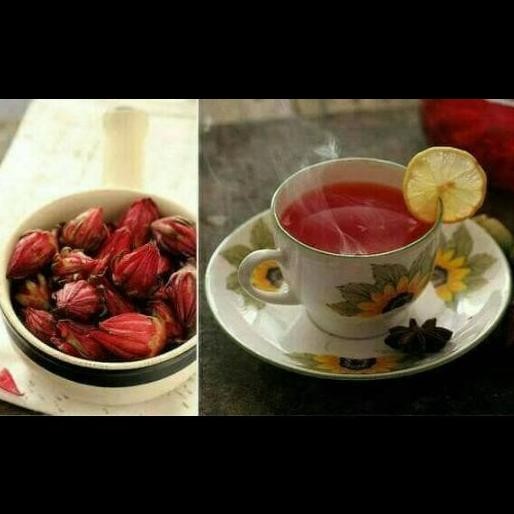 Bibit tanaman bunga rosela/tanaman herbal rosela/bunga teh rosela ISTIMEWA