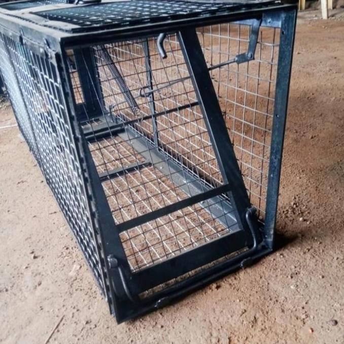 Jebakan Tikus Massal & Jebakan Musang -Jebakan Hewan Ukuran Besar Kualitas Terbaik Harga Termurah