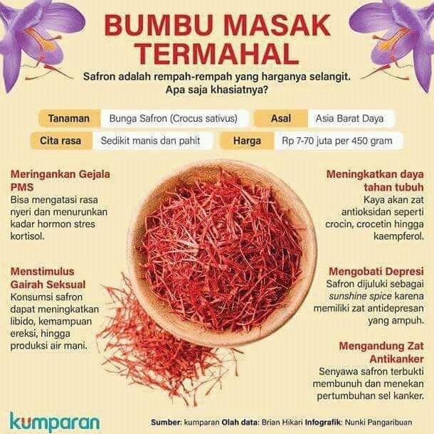 

Diskon! Saffron Asli 2Gr Grade 1 - Bunga Saffron Kumkuma Za'Faran Iran