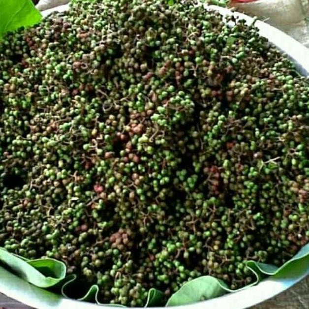 

Diskon! Andaliman Sidikalang Rempah Asli 1Kg Fresh