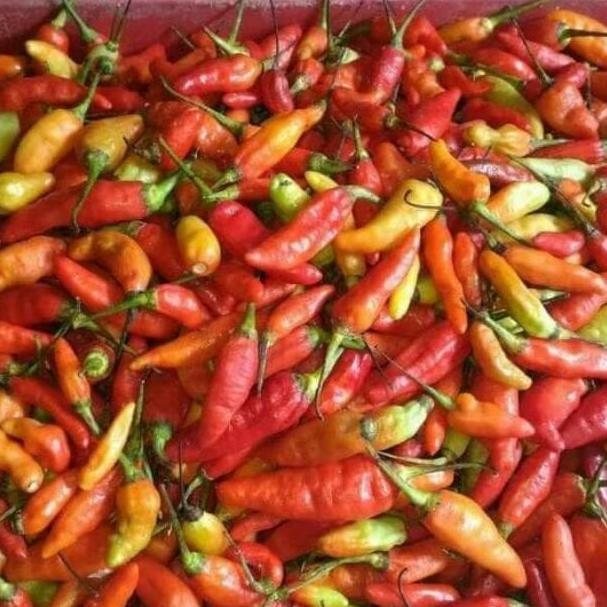 

Diskon! Cabe Rawit Merah 1 Kg - Cabe Rawit Segar Pedas