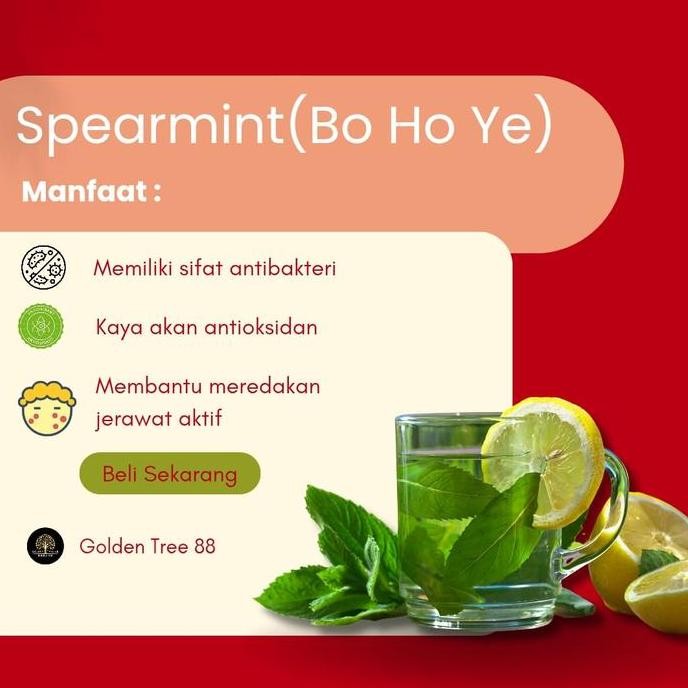 

Diskon! Daun Mint Kering 600Gr - Dried Spearmint Premium Herbal Rebusan & Teh