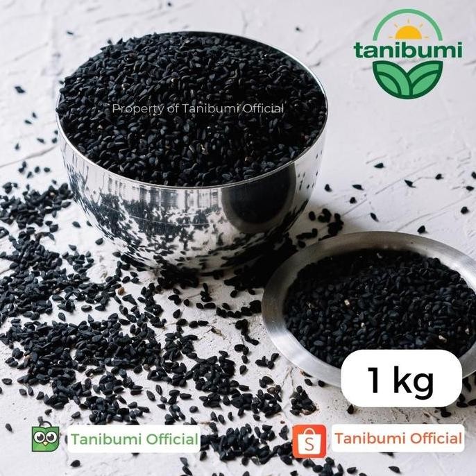 

Diskon! Jintan Hitam 1Kg - Habbatussauda Kualitas Impor Termurah Herbal Sehat