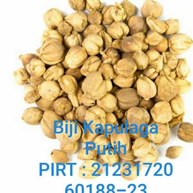 

Diskon! Kapulaga Lokal Putih 100Gr | White Cardamom / Kapol | Rempah Masakan Harum