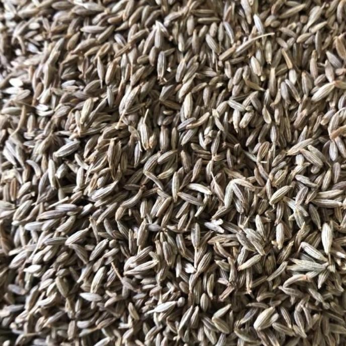 

Diskon! Cumin Seed 1Kg / Jeera / Jintan Putih India Premium Grade