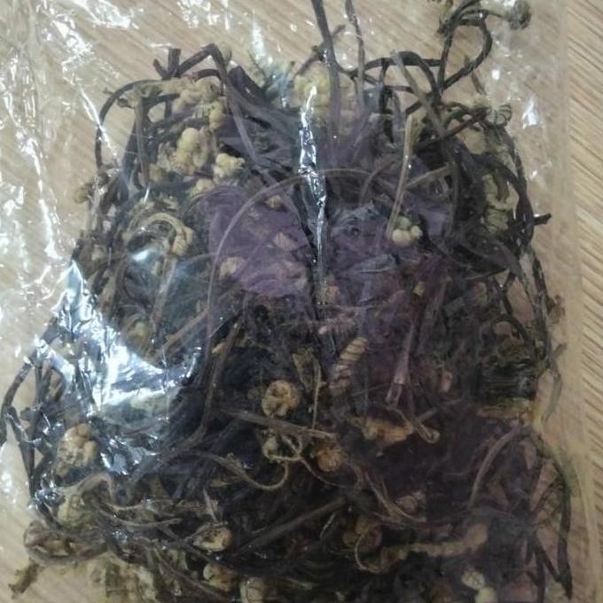 

Diskon! Gon Gosari Kering 100Gr | Rempah Tradisional Masakan Nusantara