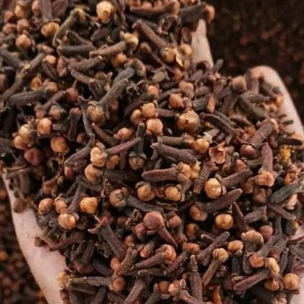 

Diskon! Cengkeh Kering Super | Rempah Bumbu Masakan Premium Kualitas Tinggi