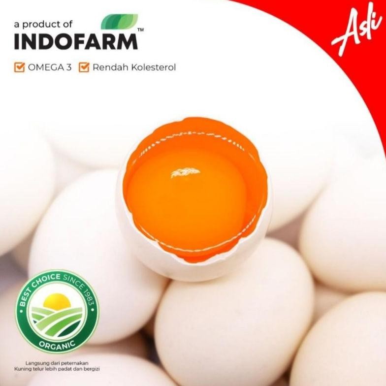 

Telur Ayam Kampung Omega Indofarm 20 pcs Original aSt