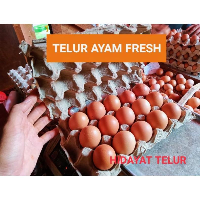 

Telur Ayam Negeri 15 Butir Tinggi Protein aSt