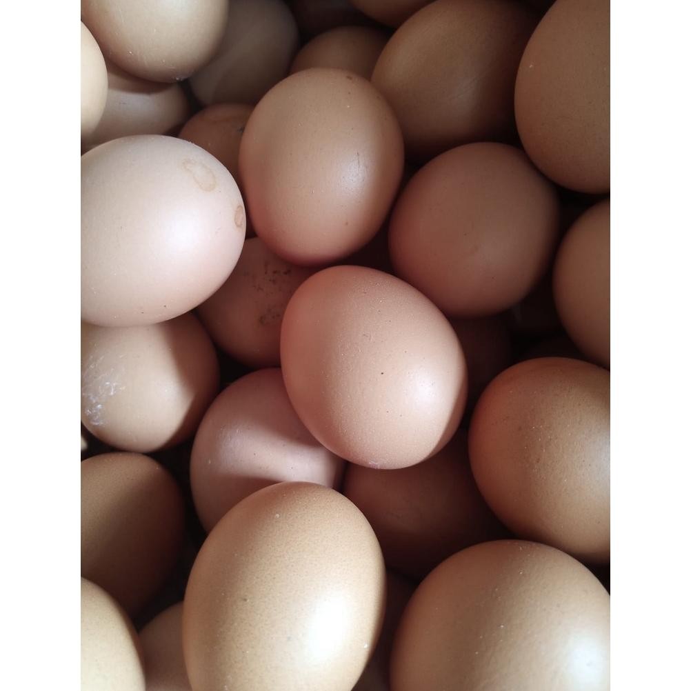 

Telur Ayam Negeri 1KG aSt