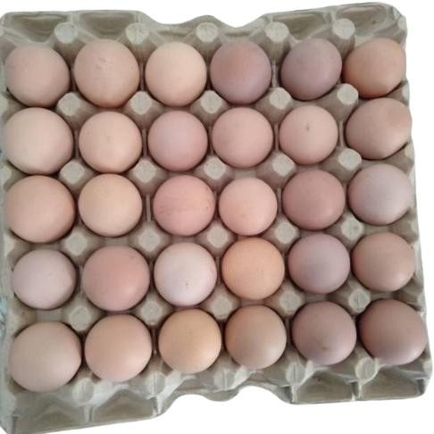 

Telur Negeri Kulit Putih / Cream per KG aSt
