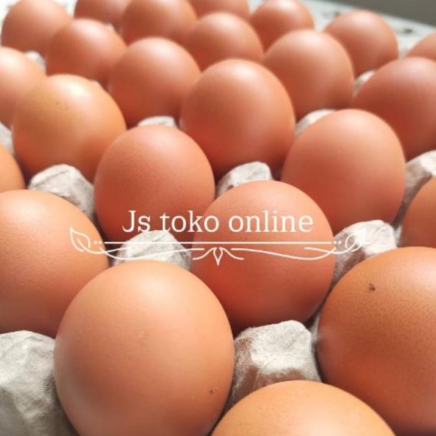 

Telur Ayam Negeri 7 Kg aSt