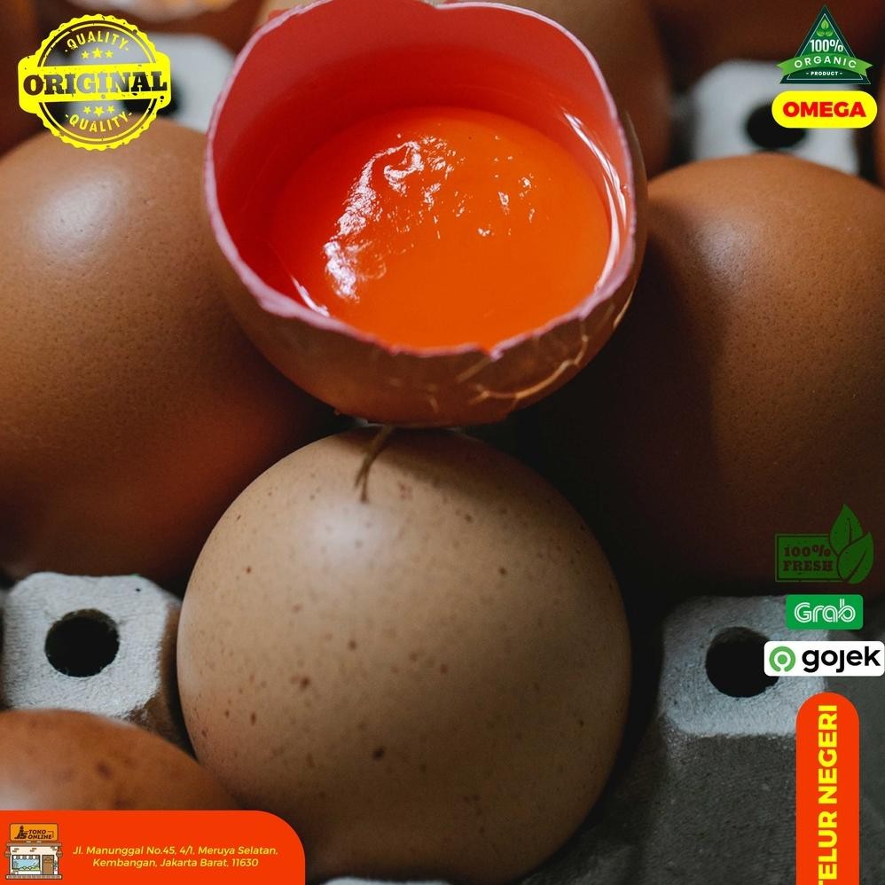 

Telur Negeri Omega-3 Per Kg Kaya Nutrisi aSt