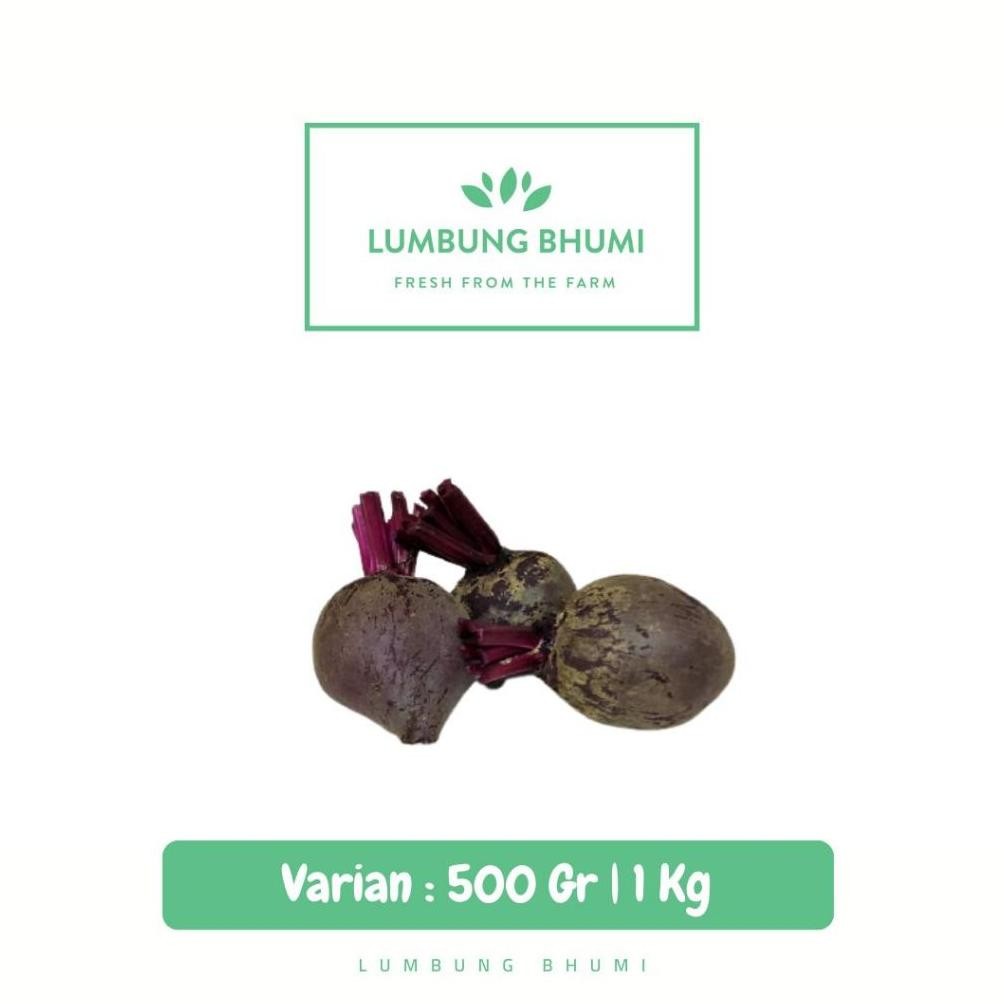 

Buah Bit Root Sayur - Lumbung Bhumi aSt
