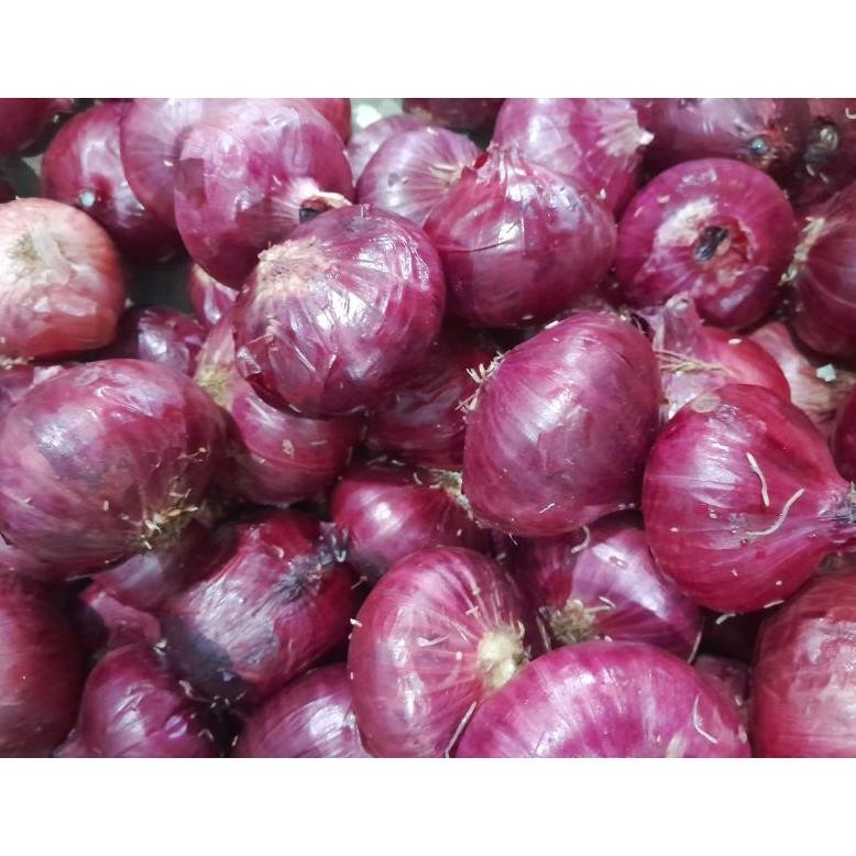 

Bawang Merah India/Bawang Peking 1kg. aSt