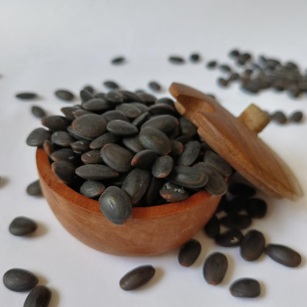 

Biji Kedawung Kering | Biji Kedaung Kualitas Super aSt