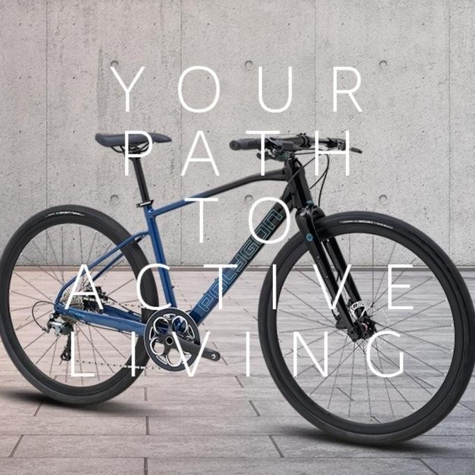 TERMURAH - Sepeda Polygon Path F4 Hybrid