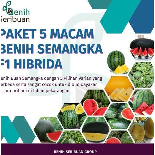PREMIUM Bibit Semangka Paket 5 Macam Buah Semangka Non Biji Jumbo F1