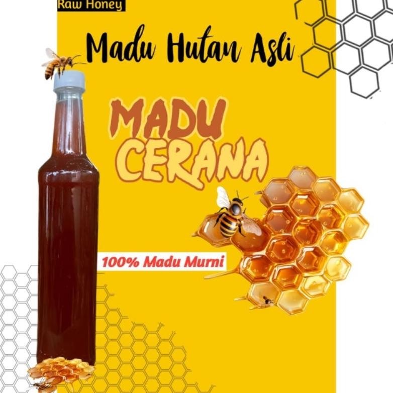 

(Terbaru) Madu hutan asli Cerana 100% Madu Asli dan Madu klanceng Bambu | Madu Liaran | Madu Hutan kemasan botol Marjan / 400ml (Terlaris)