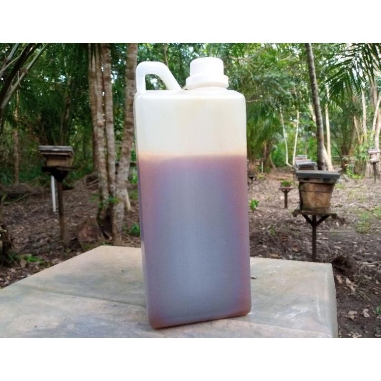 

(Terbaru) Madu Kelulut Asli Hutan Liar Kalimantan Trigona Itama Klanceng Murni 100% 1Kg (Terlaris)