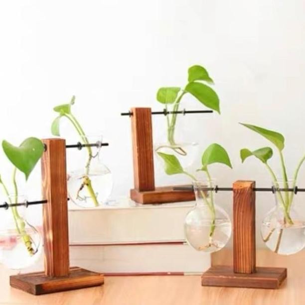 Pot Mini Aesthetic Bahan Kaca Kayu