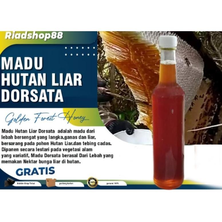 

(Terbaru) Madu Hutan Asli 100% Tanpa Campuran.Madu Tawon Gung/Odeng Tanpa campuran/Madu Mentah (Terlaris)