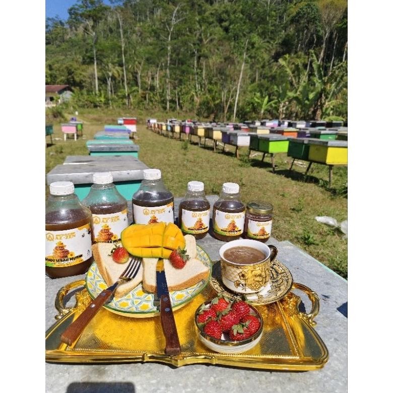 

(Terbaru) MADU RAMBUTAN, JAMINAN DUNIA AKHIRAT MURNI DARI NEKTAR BUNGA, 100% MADU MURNI DARI ALAM, HASIL PANEN SENDIRI (Terlaris)