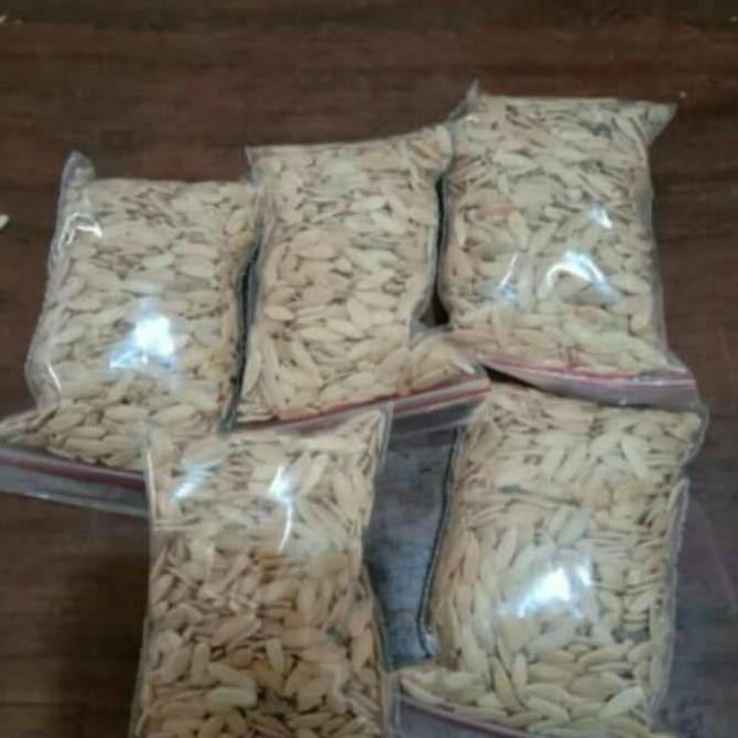 PREMIUM bibit buah timun mas, bibit timun mas , timu yeppla 5423ov