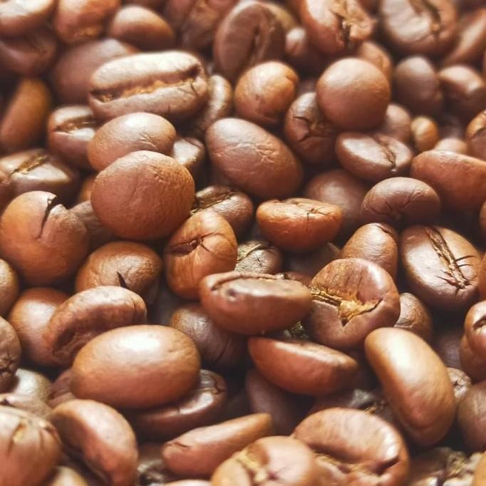 

BIJI SANGRAI RABUSTA ORIGINAL DAN TERPERCAYA