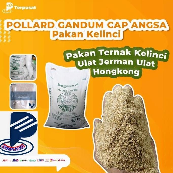 TERBARU POLLARD GANDUM 10KG CAP ANGSA - DEDAK GANDUM PAKAN TERNAK
