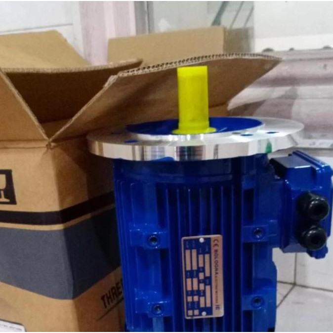 1/2Hp 0.37Kw 1Phase Bologna Flange Dinamo/Dynamo/Elektro Motor Electro