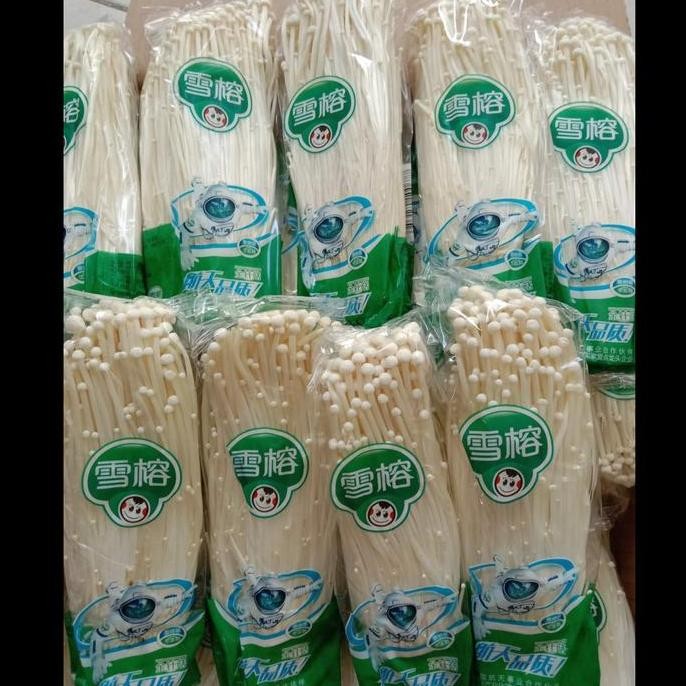 

Jamur Enoki Mushroom China Kualitas Terbaik Harga Termurah