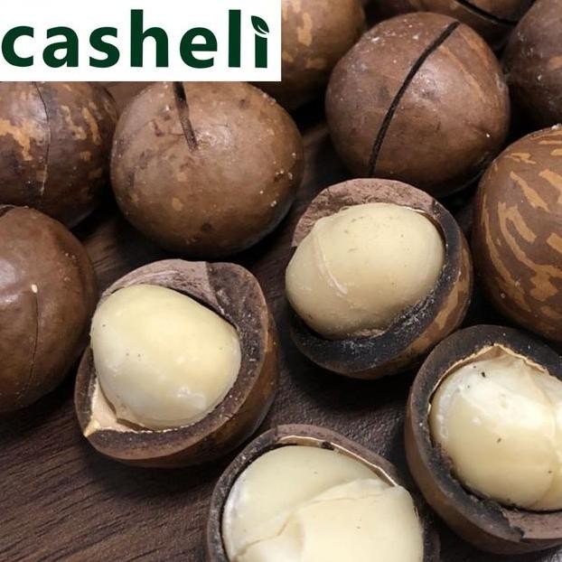 

Casheli Roasted Macadamia Nuts Kacang Milky Flavor Camilan Rasa Susu Food Sna Snas Jajan Makanan Cemilan