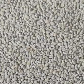 

(Allthebest) 1kg Pearl Barley / Biji Jali - Jali [Natural Organic]