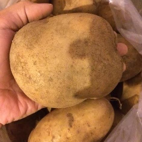 

Kentang Segar Uk Besar | 1Kg Pasti Promo