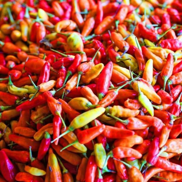 

Best - Cabe / Cabai Rawit Merah 500 gr ,.