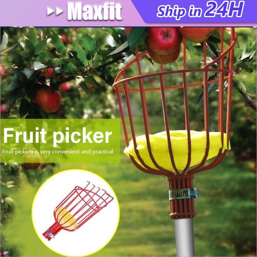 NEW PROMO Alat Pemetik Buah Tinggi Alat Petik Buah Tongkat Alat Petik Pemetik Buah Serbaguna Tahan L