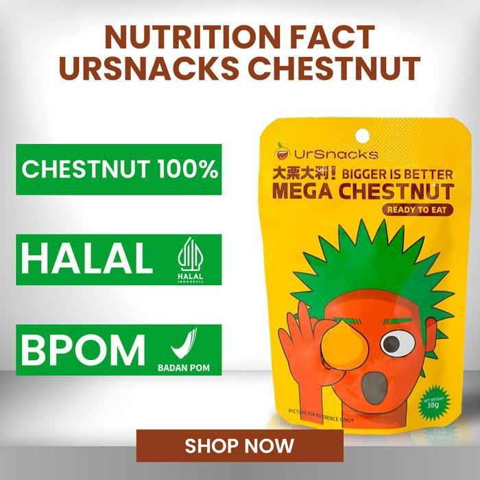 

FF [RS-ALL VARIANT] URSNACKS Mega Chestnut 38gr - Kacang Traveller Bikin Kenyang - Halal BPOM Food Peanut Cemilan