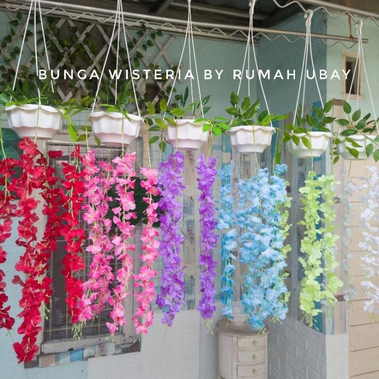 [COD]Bunga WISTERIA JUMBO + POT GANTUNG nUg