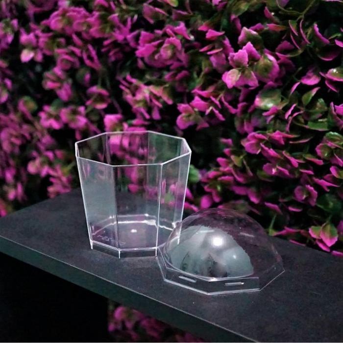 (Promo) Cup Puding Ch-26 Isi 10Pcs/ Gelas Puding Pudding / Jar Puding Plastik / Tempat Puding Mika P