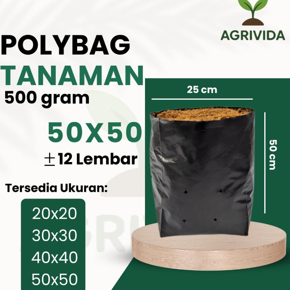 Polybag 50X50 Cm Gr