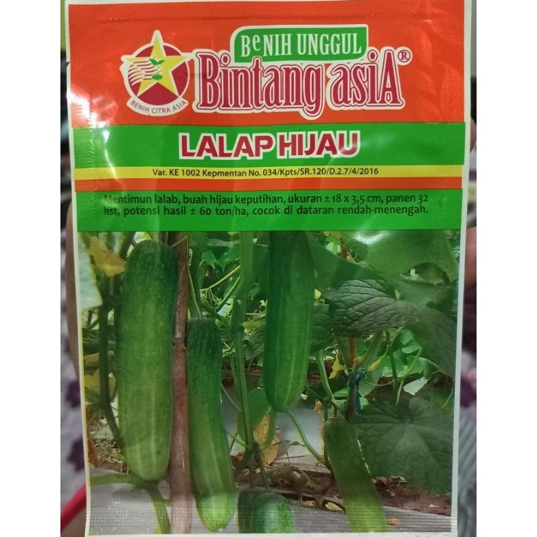 Benih Timun LALAP HIJAU 20 Gram Bintang Asia